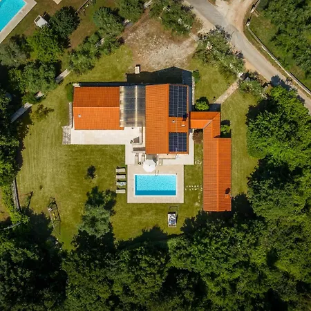 Rustica Pifari